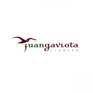 juan-gaviota-flowers-logo
